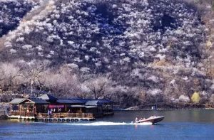 1692018908394939.jpg 微信图片_20210317083545-300x197.jpg