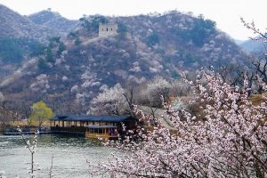 1692018911481178.jpg 微信图片_20210317083604-300x200.jpg