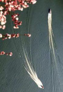 1692018931667344.jpg 微信图片_20210317084105-207x300.jpg