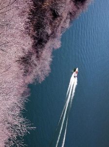 1692018945253883.jpg 微信图片_20210317084044-224x300.jpg