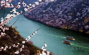 1692018964110952.jpg 微信图片_20210317083625-300x186 (1).jpg